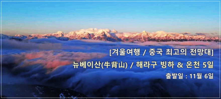 뉴베이산